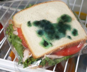 moldy sandwich_01