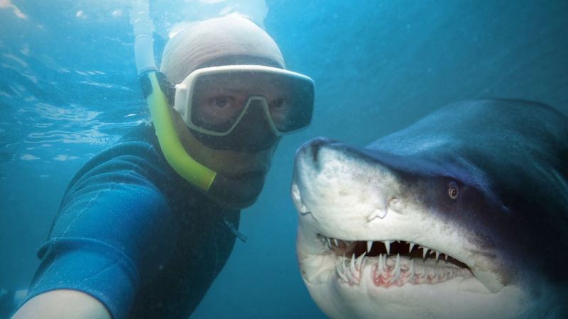 selfie and shark_02