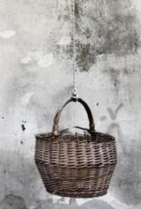 basket_01 cropped