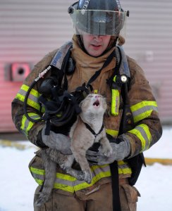firefighter and cat