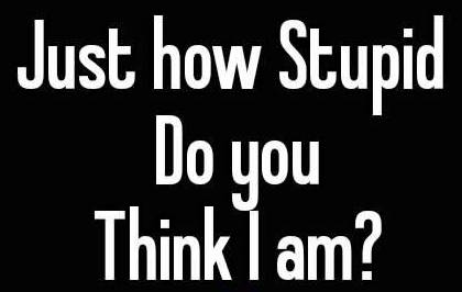 stupid_01 cropped
