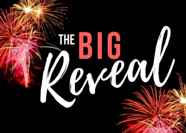big reveal_02