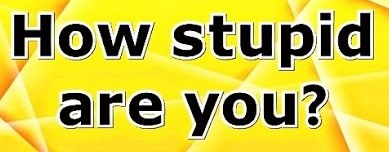 stupid_01 cropped