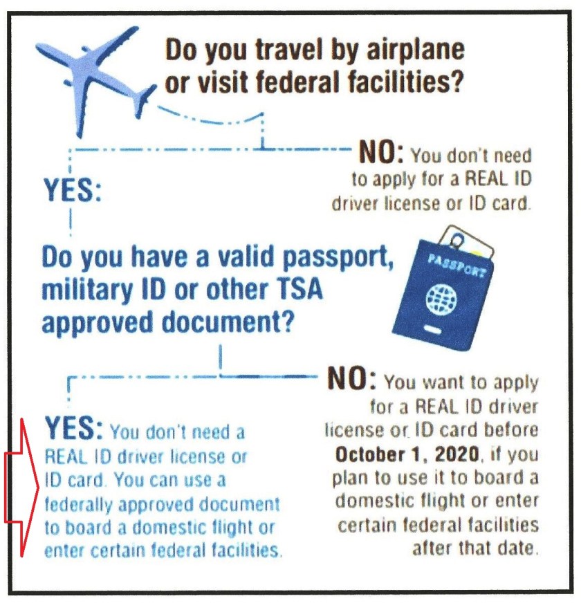 Infographic cropped with arrow.jpg