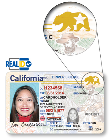 REAL+ID_DriverLicense (1)