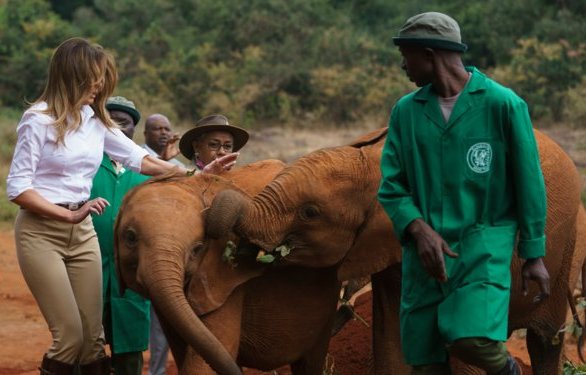 melania met elephants cropped.jpg