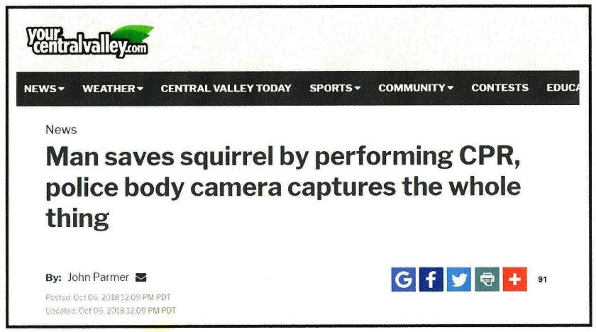 Squirrel headline
