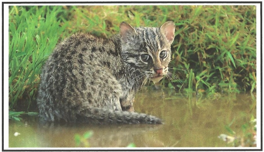 Mom makes it look easy