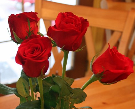 Book Review:  Oh, Susanna, I Want Another&nbsp;“Mariana”