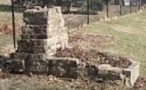 barbecue cropped larger