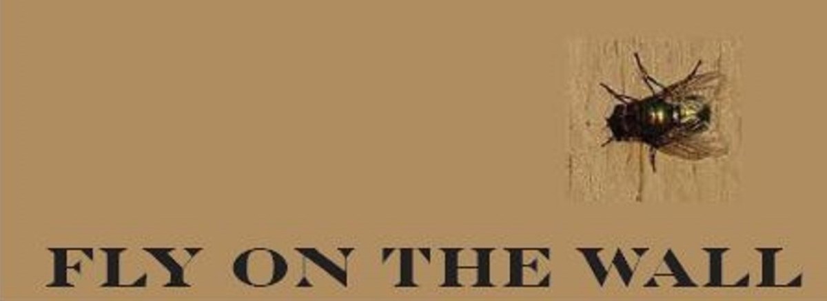 Oh, To Have Been&nbsp;That…