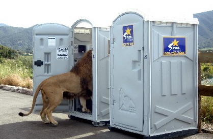 lion porta potty