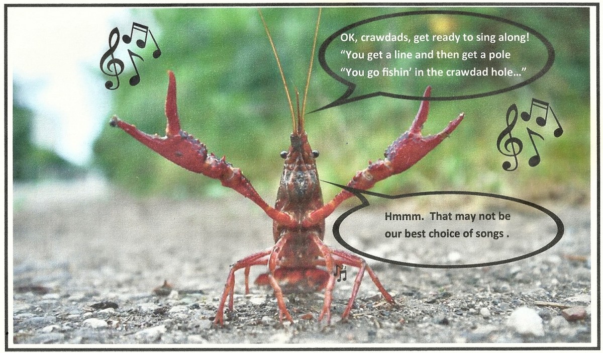 Book Review:  Can You Guess The Title Of This&nbsp;One?