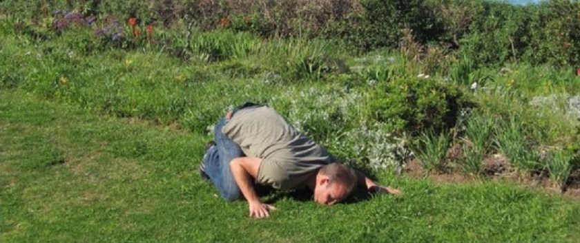 Kissing Lawn cropped larger