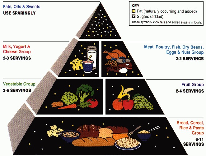 food pyramid cropped