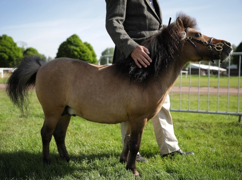 <> on May 9, 2018 in Windsor, England.