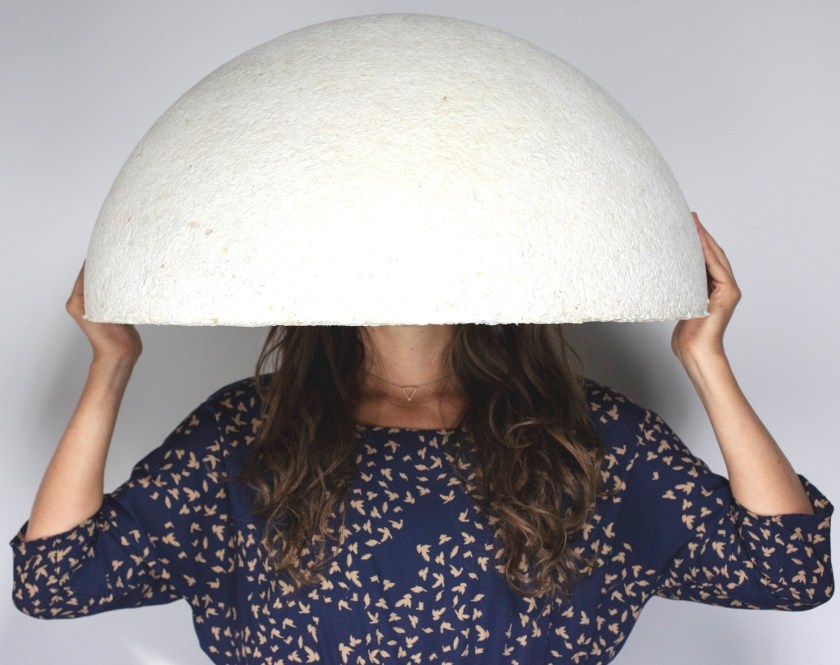 lampshade_04 mushroom dome cropped.jpg