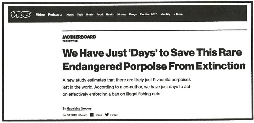 Vaquita headline (2)