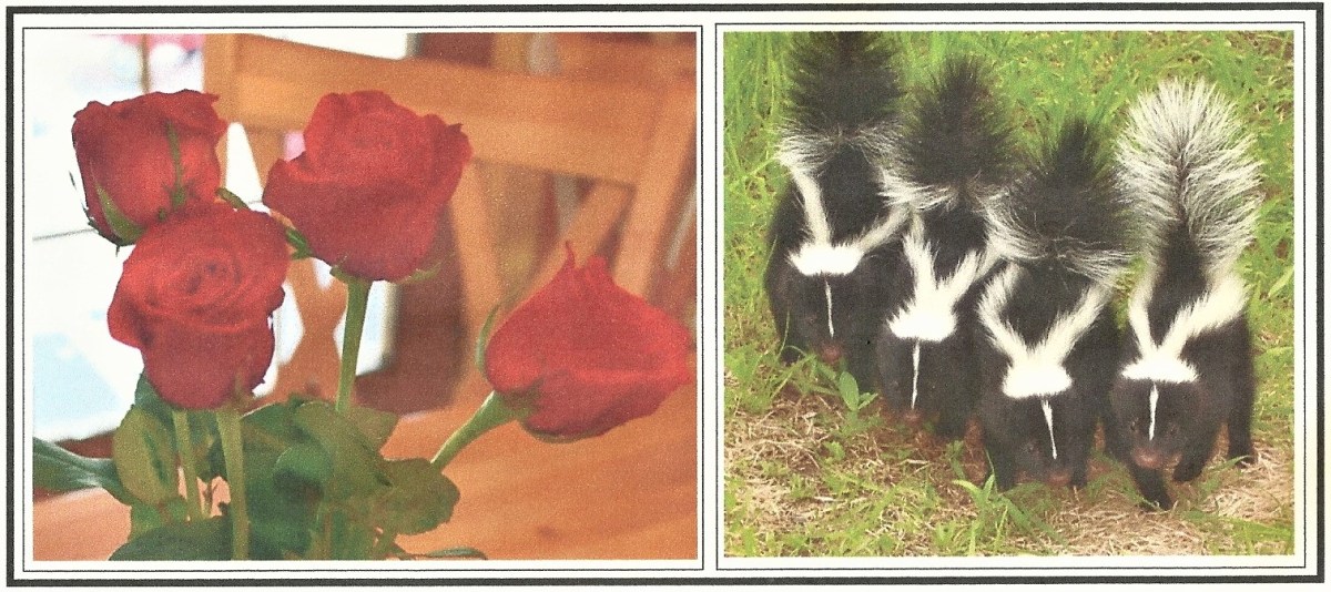 Book Review:  “The Flatshare” Falls&nbsp;Flat