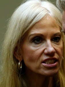 kelly cropped reversed