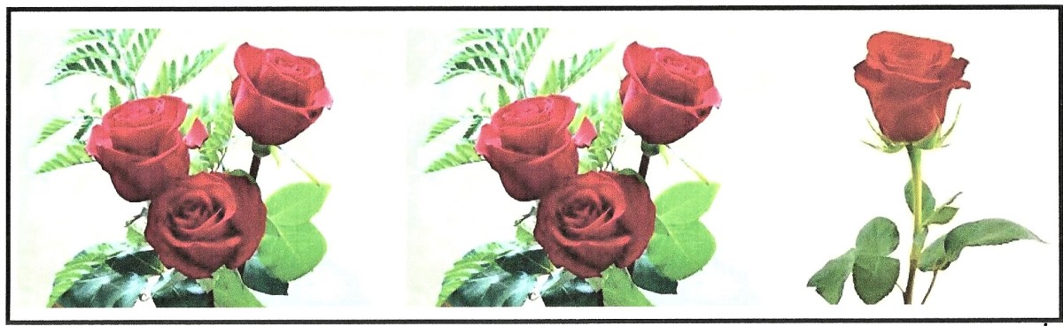 Book Reviews:   Three By Abbi&nbsp;Waxman