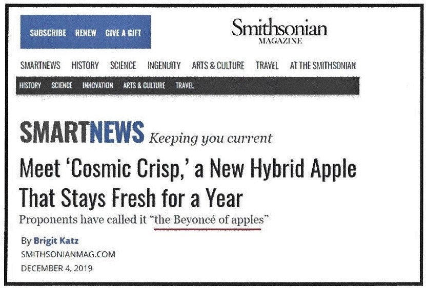 Headline Beyonce (2)