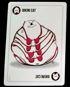 bikini cat
