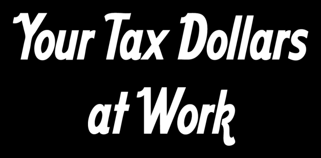 To Err Is Human – To REALLY Screw Up Is Our&nbsp;Government