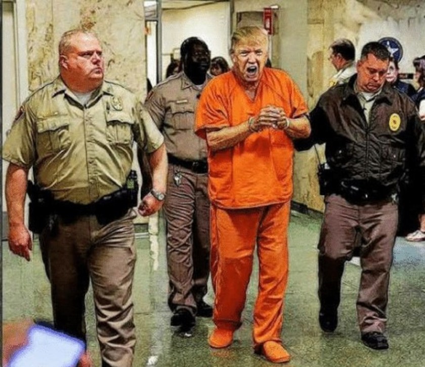 trump_03 cropped larger