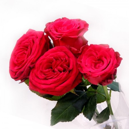 Book Review:  Trump Trumps&nbsp;Trump