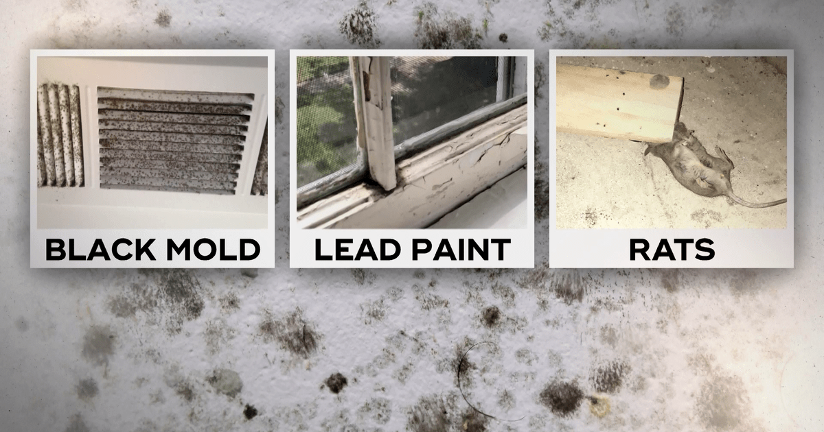 Dear President Biden:&nbsp; When Your Son Was In The Service, Did His Military Housing Include&nbsp;These?