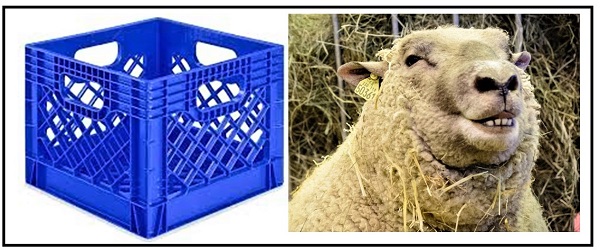 What Do These Two Images Have In&nbsp;Common?