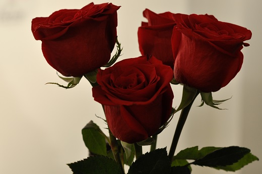 Book Review:&nbsp; This One Really Engaged&nbsp;Me