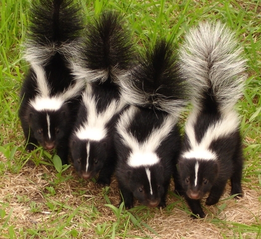 Book Review:  “Mesmerizing” Or A “Slog”?  Here’s My&nbsp;Vote: