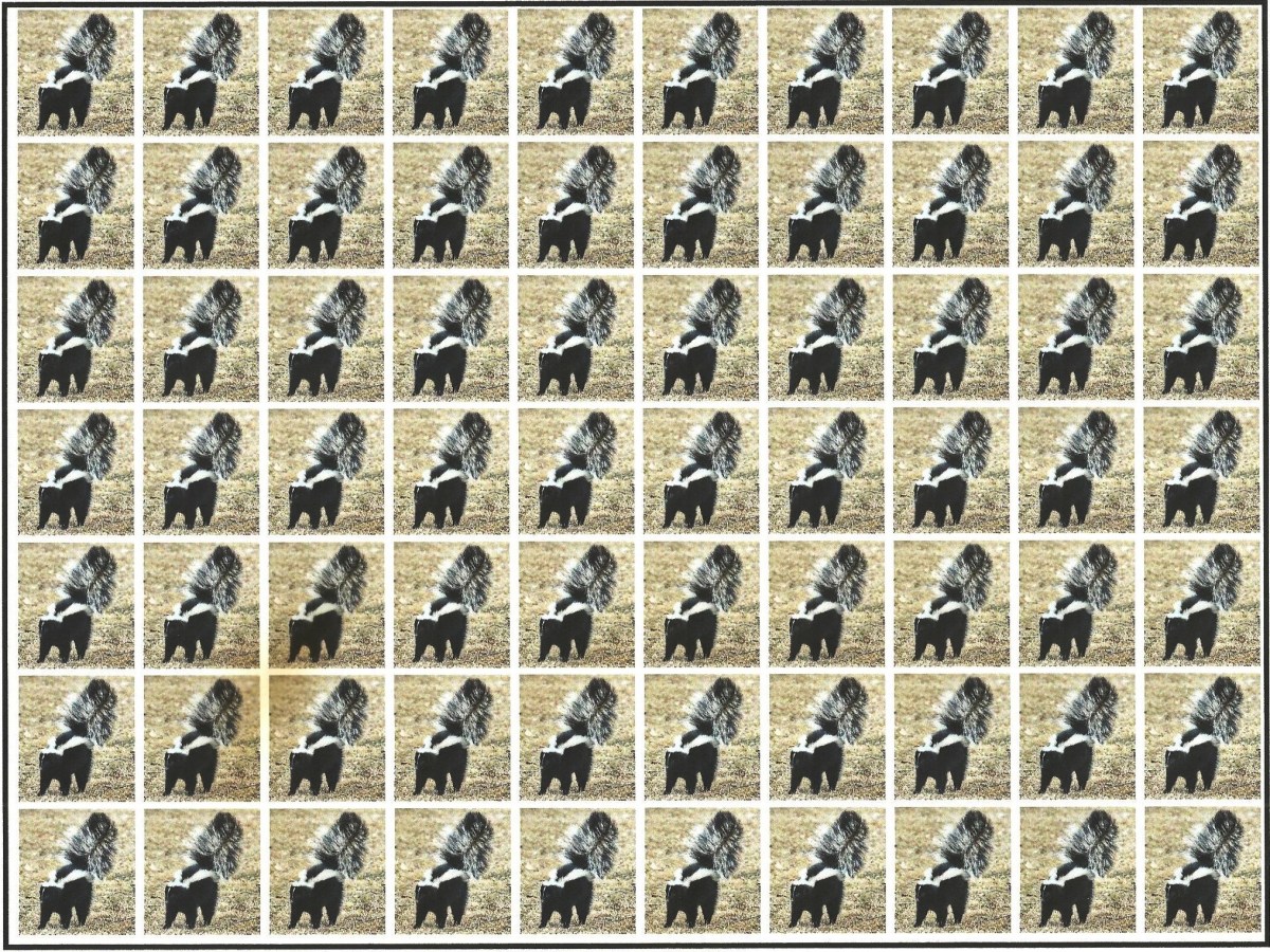 Book Review:&nbsp; There’s No “Fun” In This Much&nbsp;Dysfunction