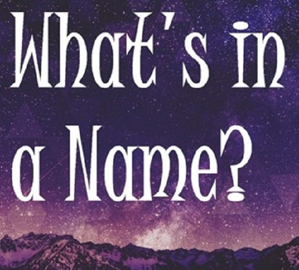 In Case You Were&nbsp;Wondering…