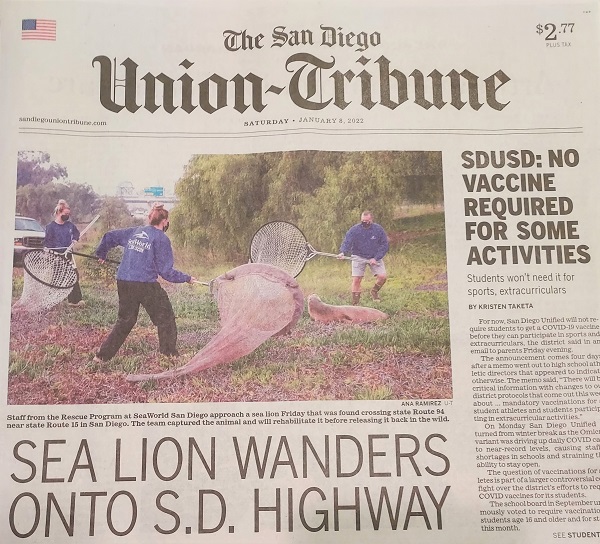 It’s A Good Day When The Big Front-Page Story Is This, Instead Of&nbsp;COVID: