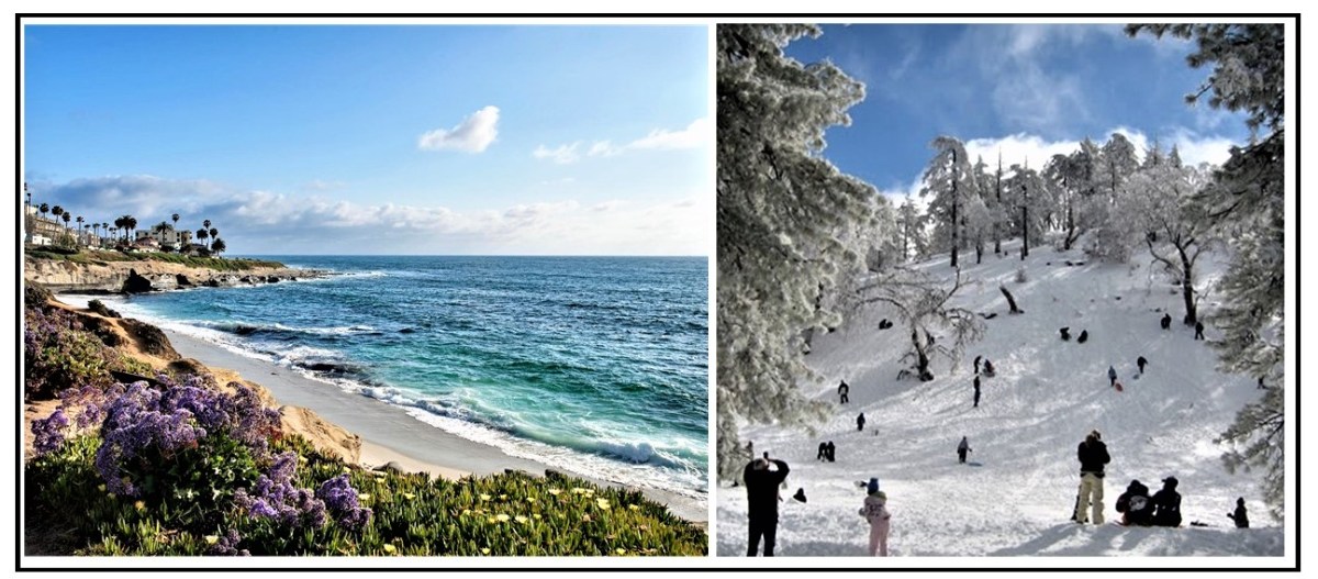 Which Of These Is A Picture From San&nbsp;Diego?