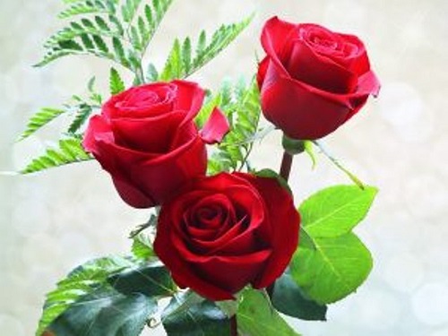 Book Review:  A Book About Writers…By An&nbsp;Insider