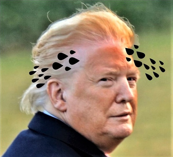 See Trump.&nbsp; See Trump Headlines.&nbsp; See Trump&nbsp;Sweat.