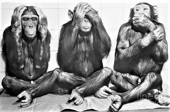 When It Comes To The Kardashians&nbsp;I’m…