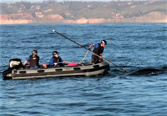 Just Another Day At The Office For Them – But A Big Deal To&nbsp;Me